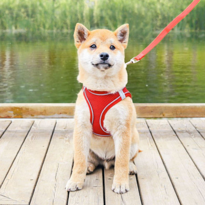 Maliben | Pet Chest Harness
