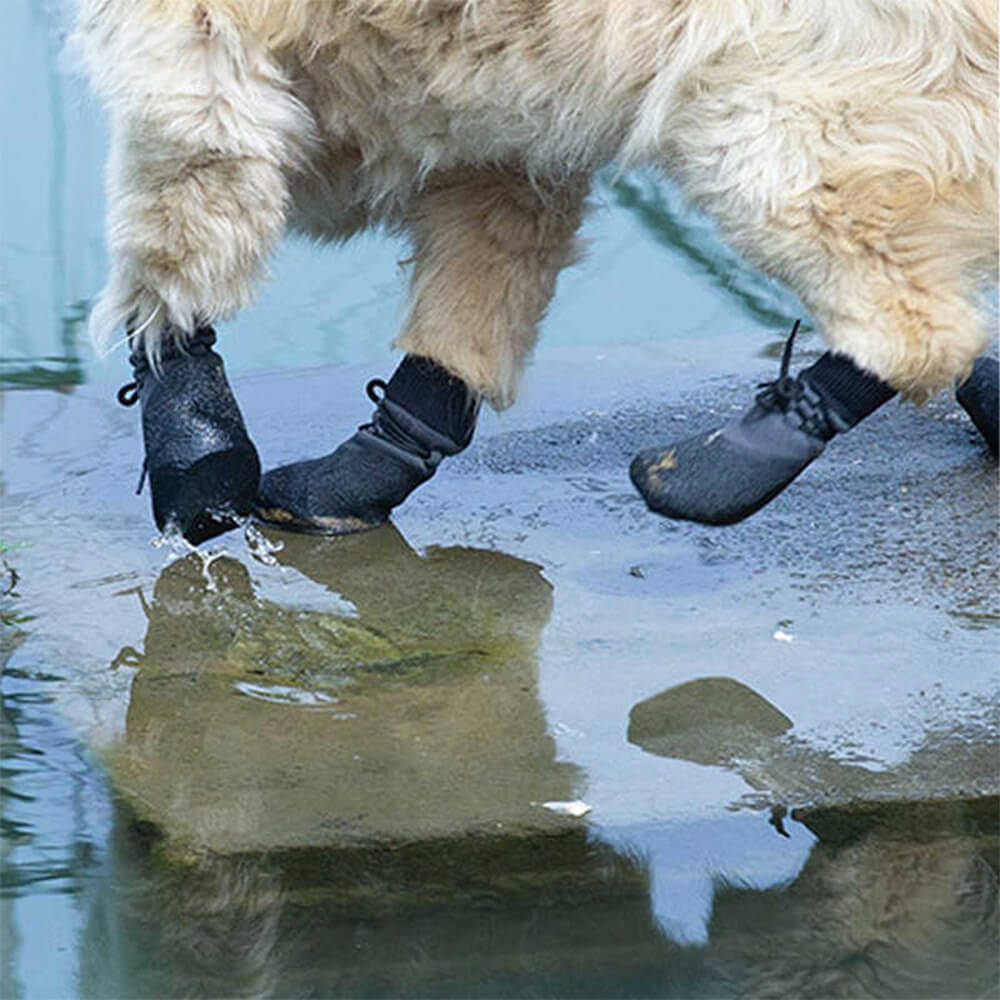Maliben | Outdoor Waterproof Breathable Hiking Running Non-Slip Dog Shoes