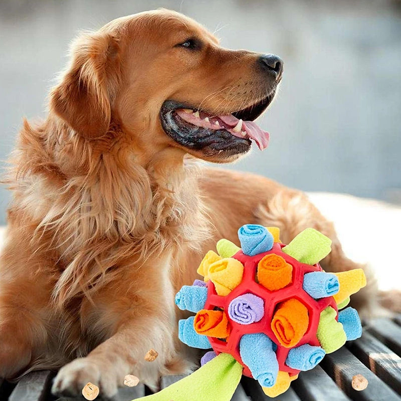 Maliben | Snuffle Ball For Pets