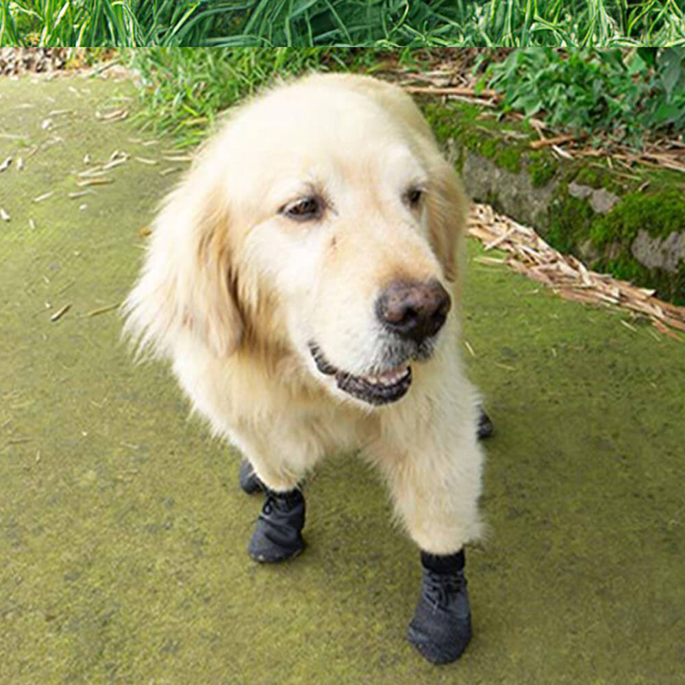 Maliben | Outdoor Waterproof Breathable Hiking Running Non-Slip Dog Shoes