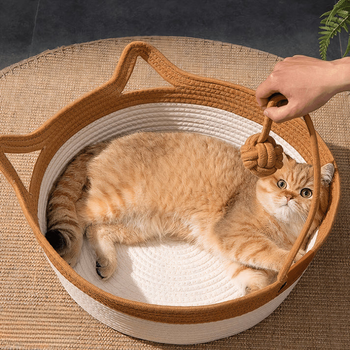 Maliben | Frostfell Chillout - The Cool Retreat That Keeps Your Cat Relaxed And Fresh Forever