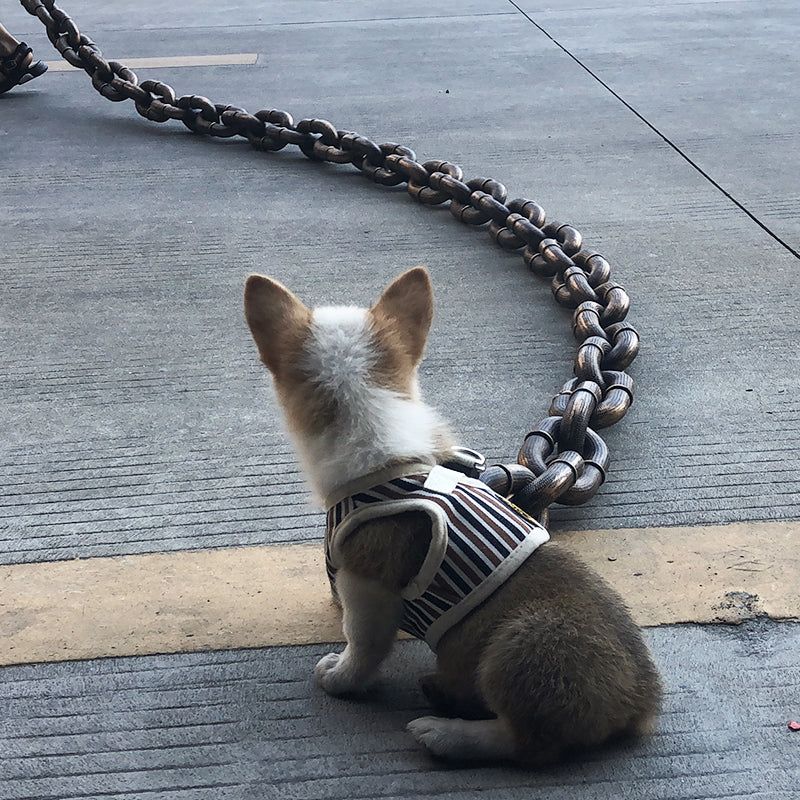 Maliben | Funny Large Dog Collar