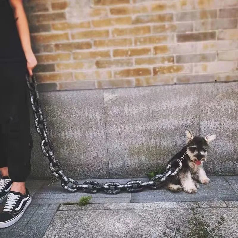 Maliben | Funny Large Dog Collar