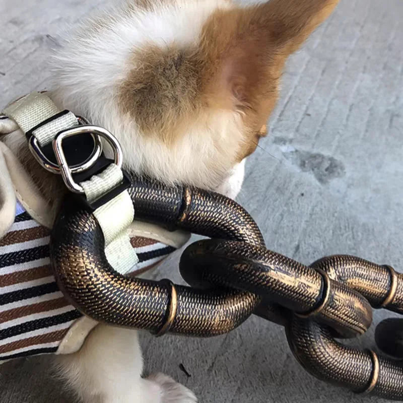 Maliben | Funny Large Dog Collar