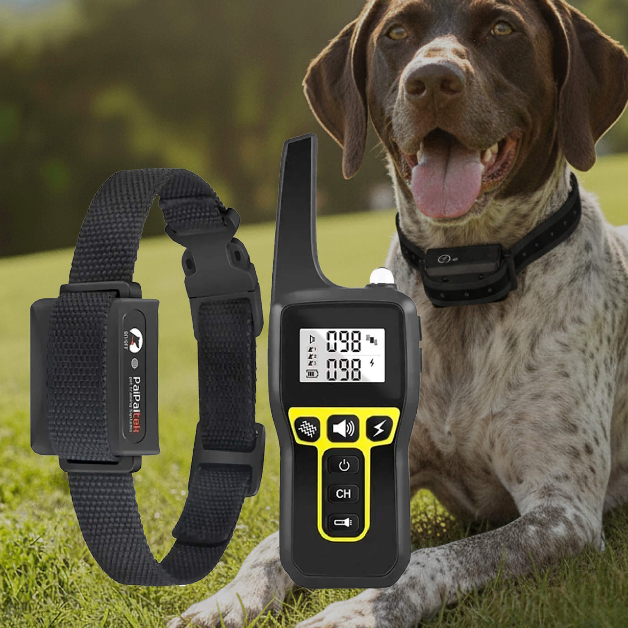 Maliben | 1000m Waterproof Dog Training Collar | Rechargeable, Remote Control & Adjustable for Small, Medium, and Large Dogs