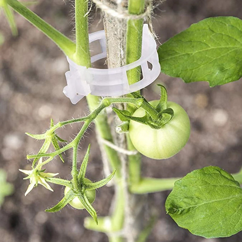 Maliben | Practical Plant Support Clip