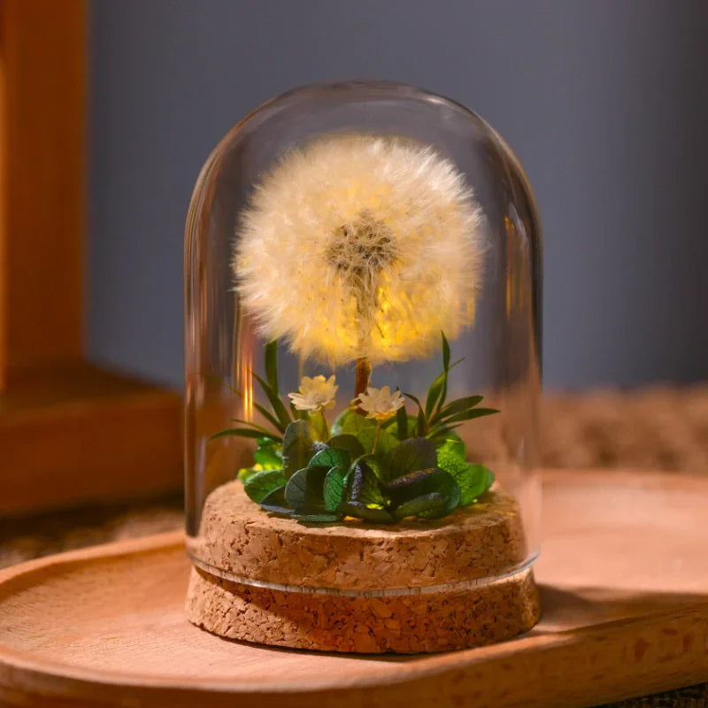 Maliben | Eternabloom Night Light