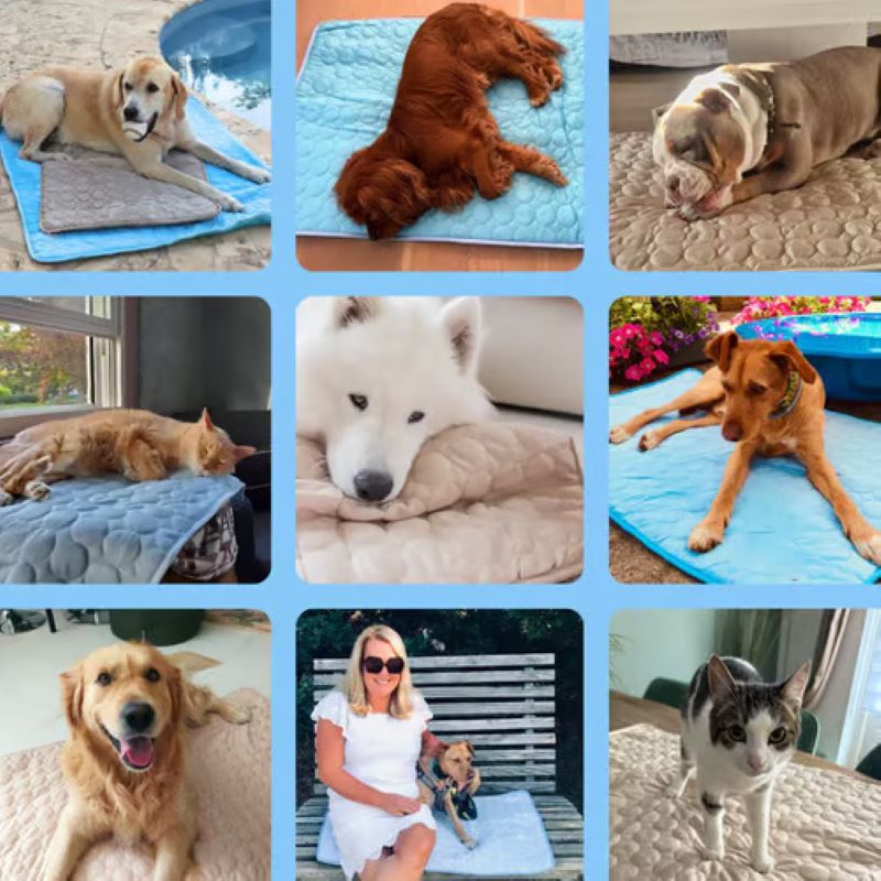 Maliben | Cooling Mat for Dogs (4x More Effective)