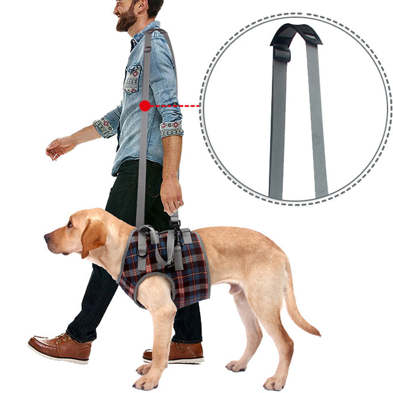 Maliben | Orthopedic Rear Leg Support Harness for Dogs – Ideal for Arthritis, Hip Dysplasia & Mobility Aid