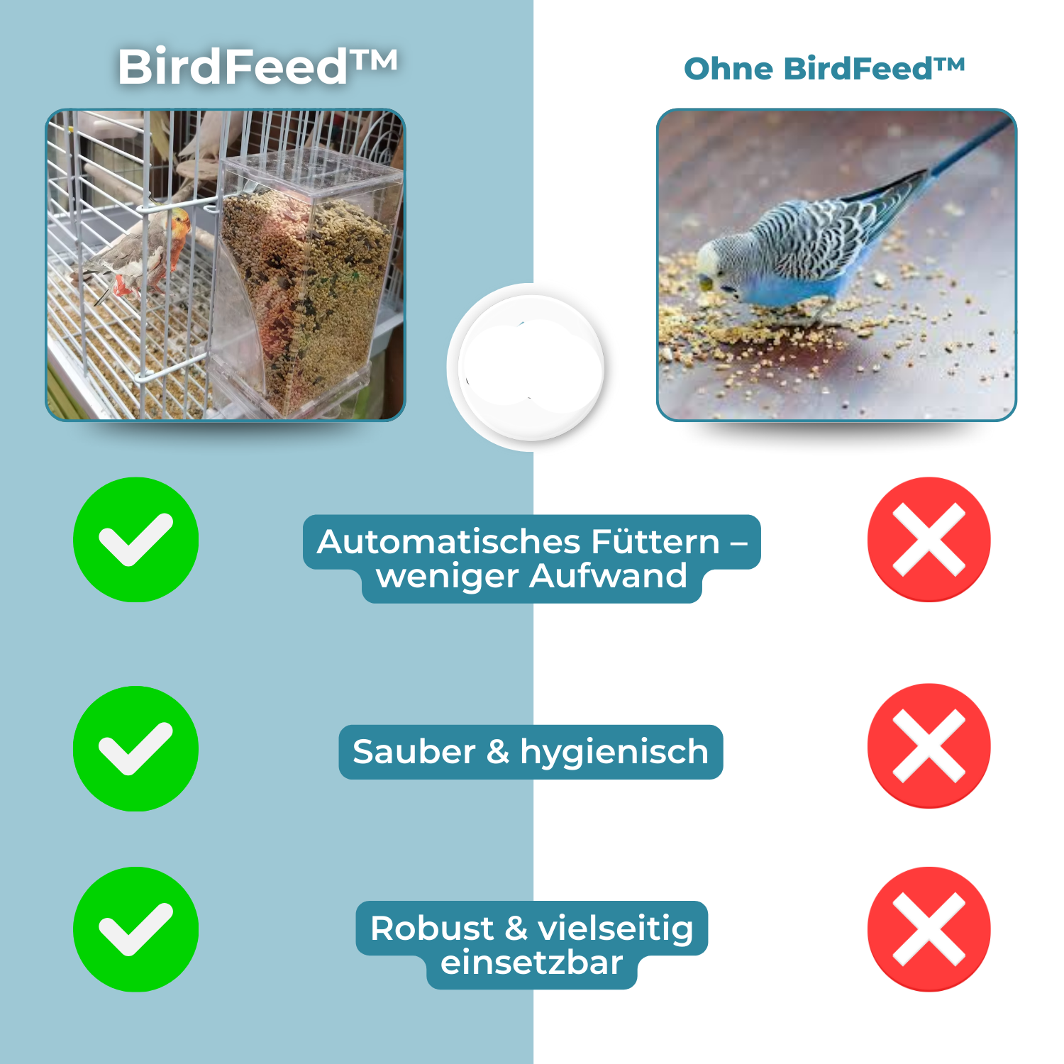 Maliben | Birdfeed – Clean Feeding, Satisfied Birds, Less Effort