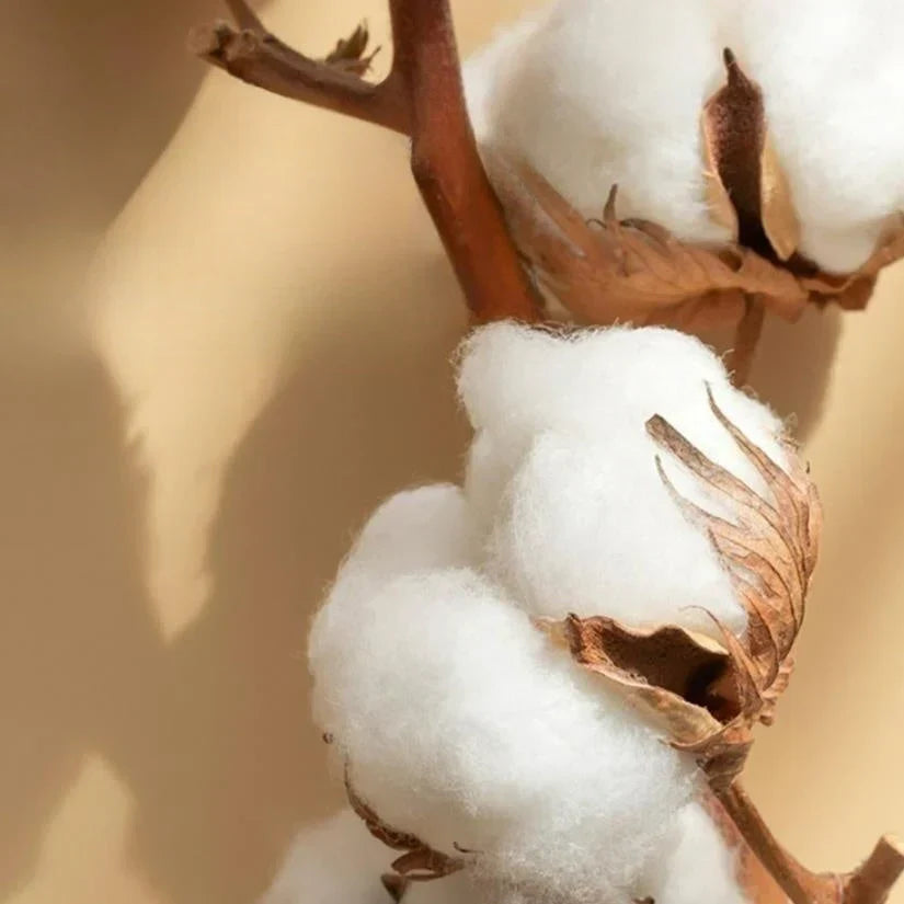 Maliben | Luxury Satin Bedding 4-Piece Set - Opulencesleep