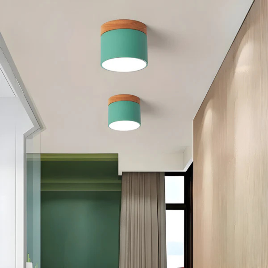 Maliben | Vintage Led Ceiling Lamp