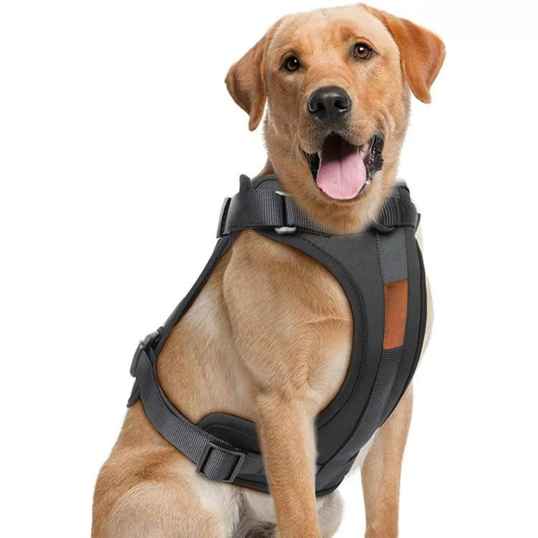 Maliben | ComfyPaws Dog Harness Walking Set with Leash and Poop Bag Holder