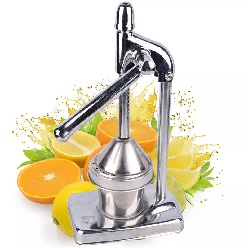 Maliben | Stainless Steel Fruit Juicer