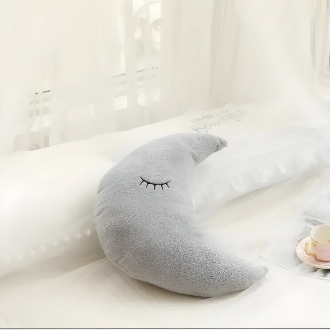 Maliben | Plush Decorative Cushion