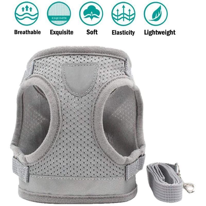 Maliben | Reflective Safety Dog Harness and Leash Set Offer
