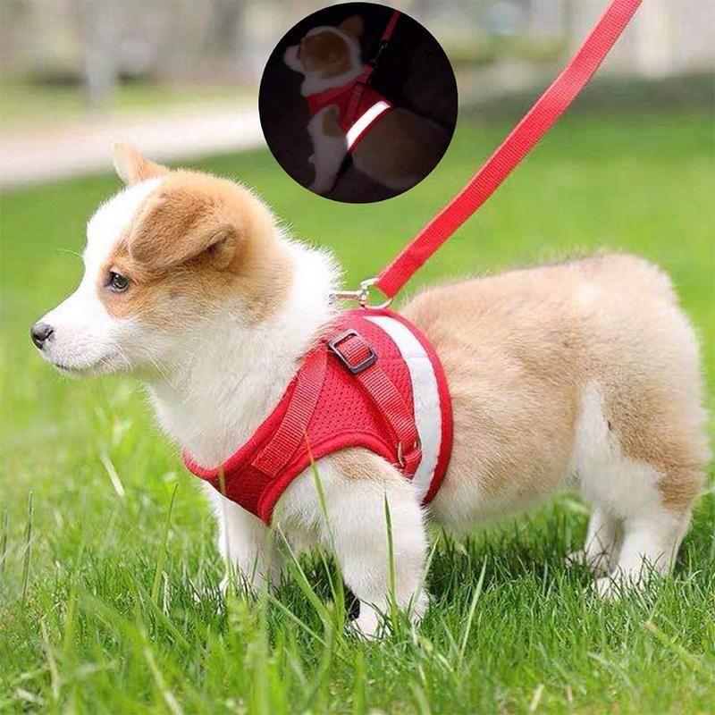 Maliben | Reflective Safety Dog Harness and Leash Set Offer