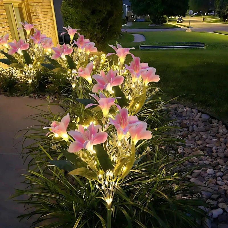 Maliben | Everbloom Solar Flower Lights