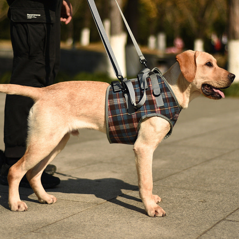 Maliben | Orthopedic Rear Leg Support Harness for Dogs – Ideal for Arthritis, Hip Dysplasia & Mobility Aid