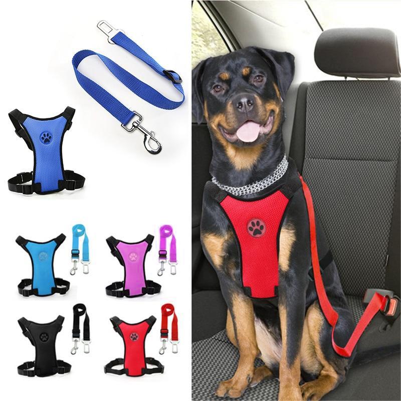 Maliben | Dog Safety Harness Set