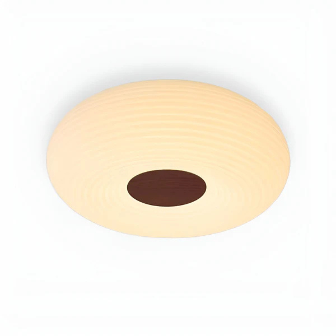 Maliben | Modern Led Ceiling Light