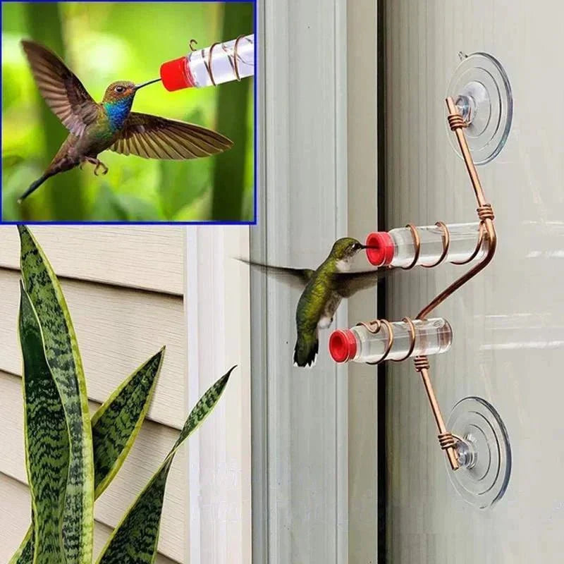 Maliben | Window Nectar - See The Birds Up Close - Wonder Guaranteed