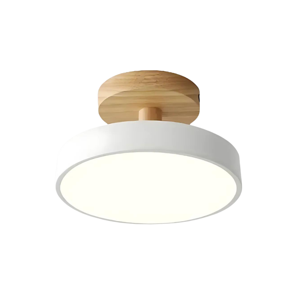 Maliben | Compact Modern Led Ceiling Lamp
