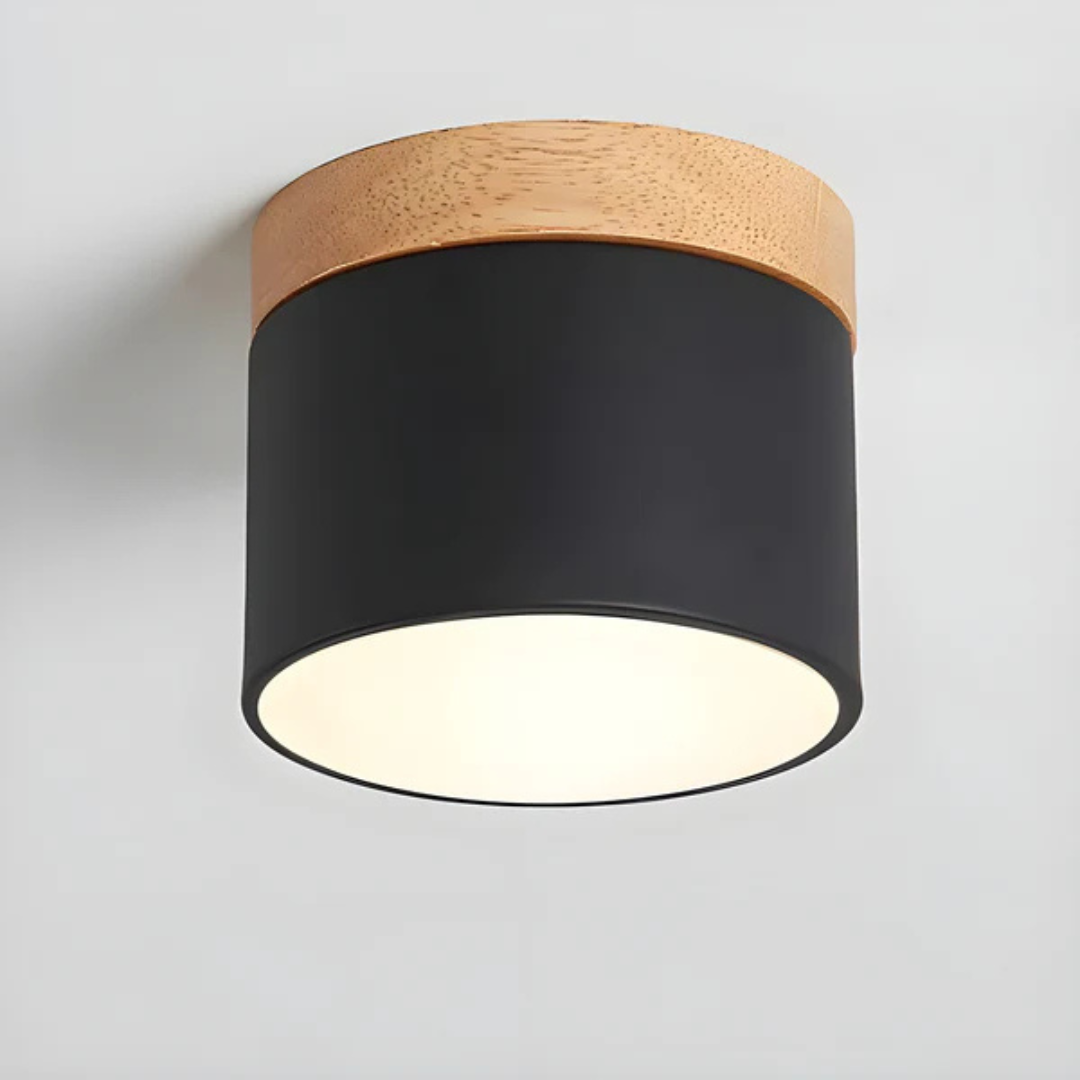 Maliben | Vintage Led Ceiling Lamp