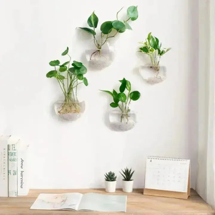 MAliben | WonderglAss — Give Your Walls a Fresh Kick For a Vibrant Home Without Effort