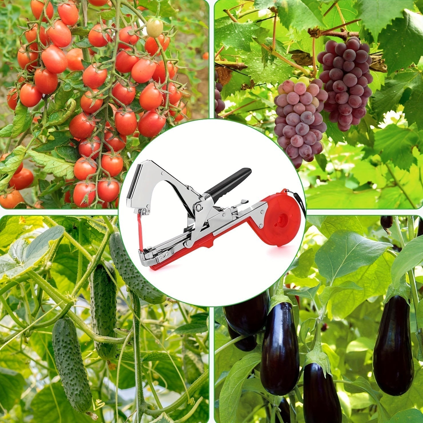 Maliben | Plant Tying Machine