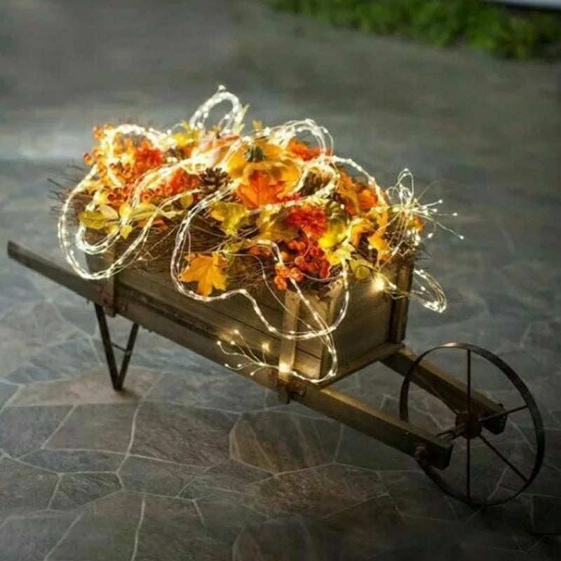 Maliben | Brightjoy – Enchant Your Home With Fascinating Christmas Light Magic