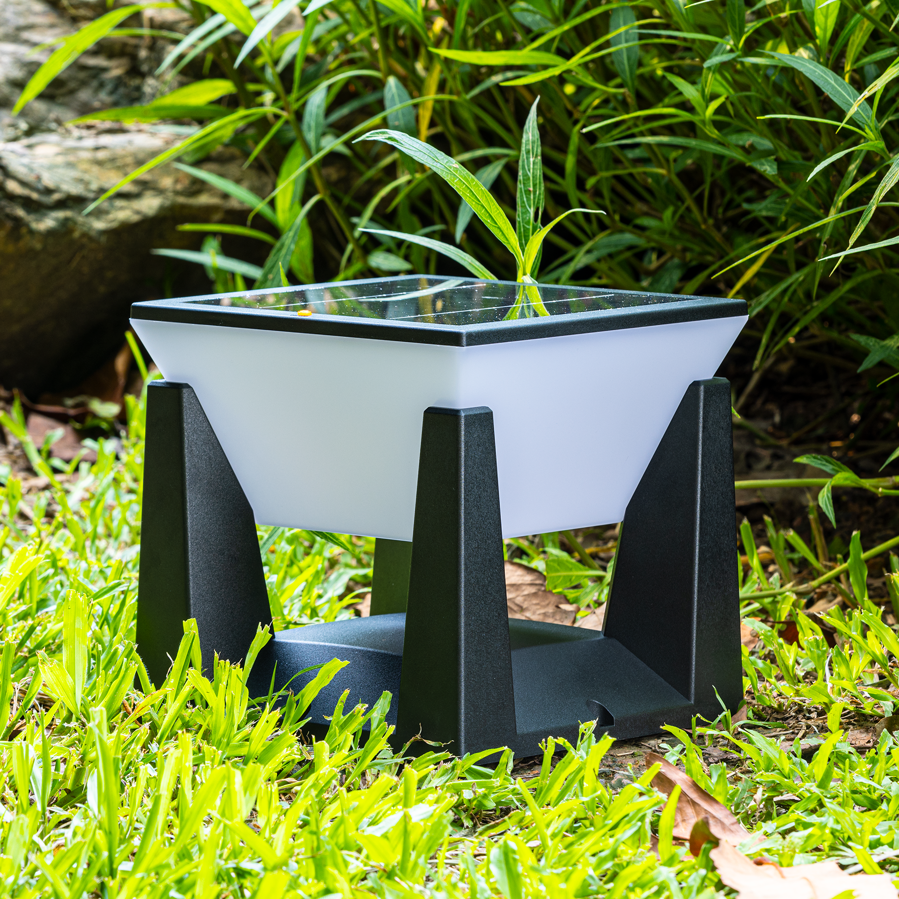 Maliben | Solarpath Outdoor Light