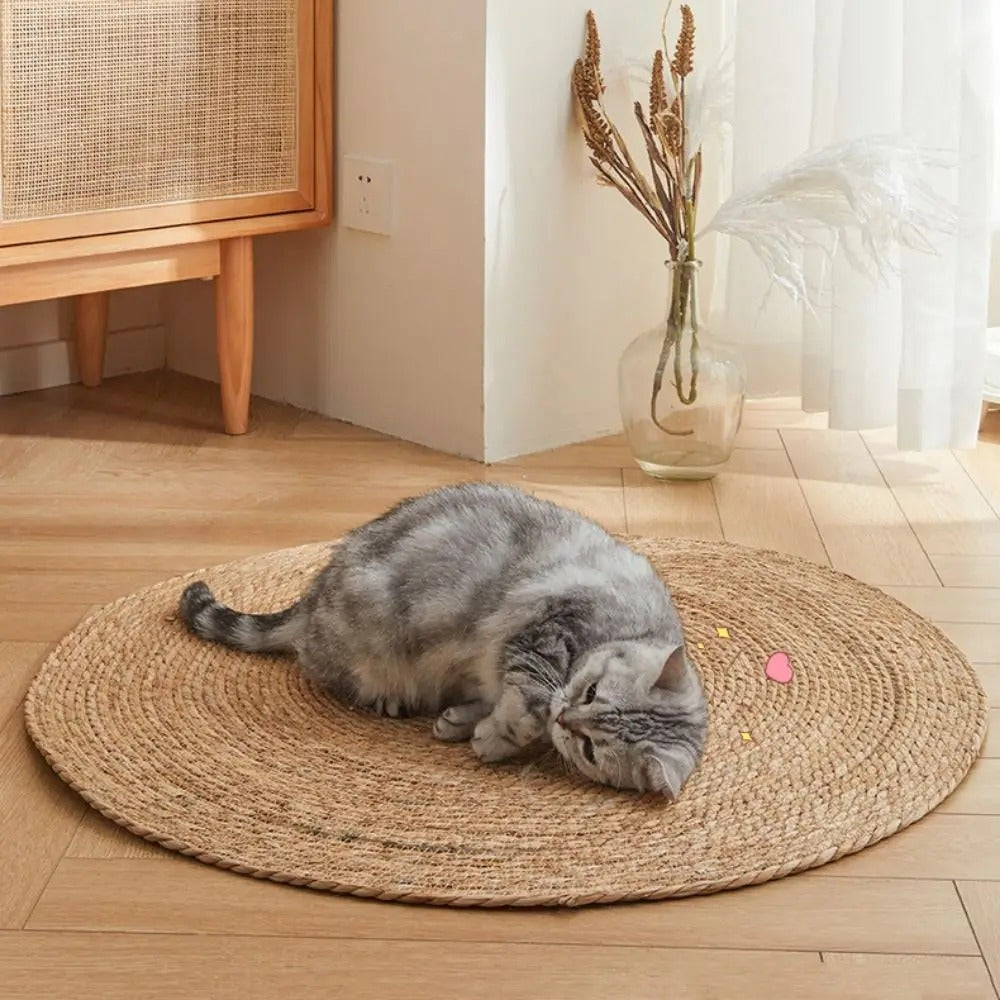 Maliben | Krazeluxe Matte — Finally Peace From Scratching Chaos And The Favorite Spot For Your Cat