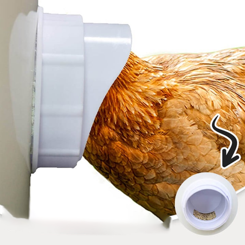Maliben DIY Chicken Feeder
