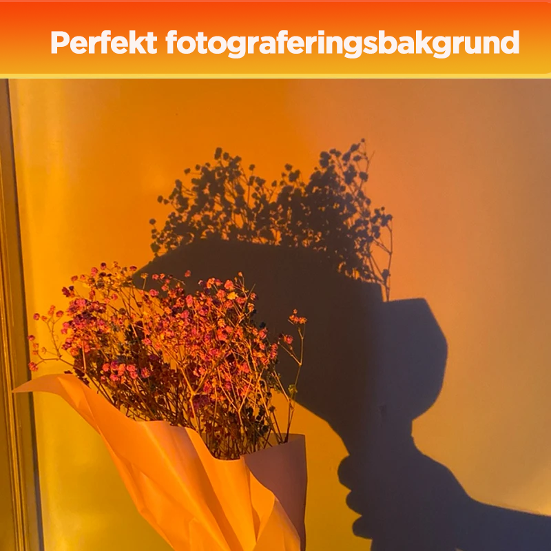 Maliben | Projection Floor Lamp