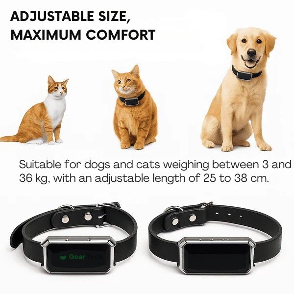 Maliben | GPS Dog Collar | Waterproof, Adjustable & Unlimited Range for Real-Time Tracking