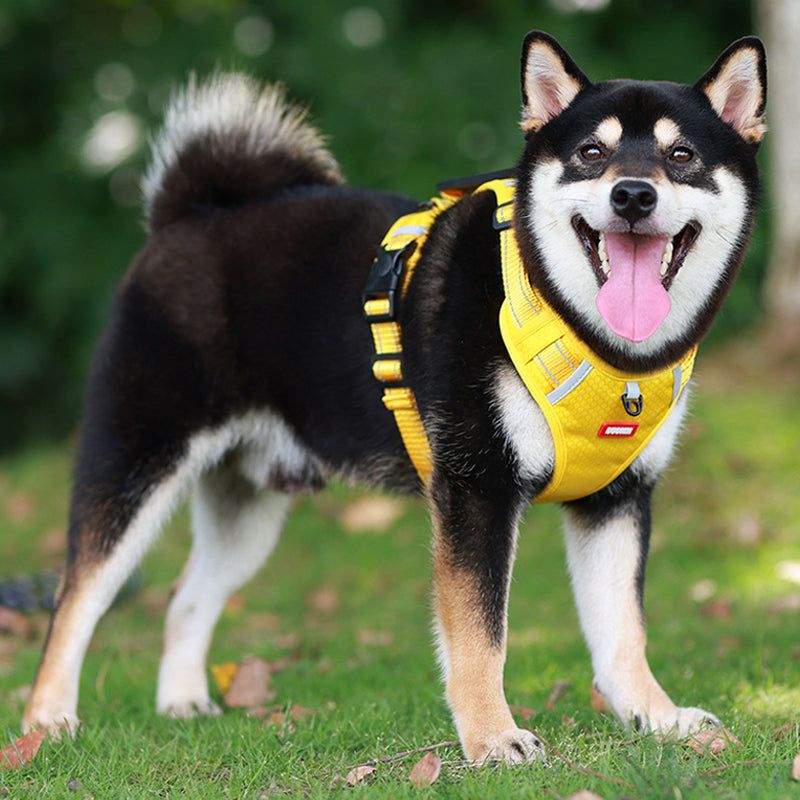 Maliben | Reflective Dog Harness