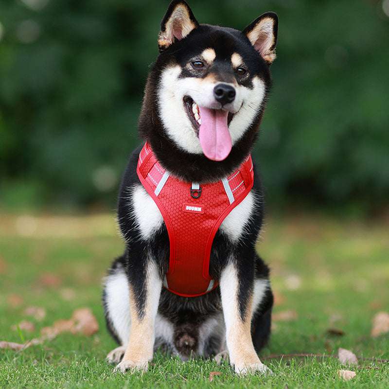 Maliben | Reflective Dog Harness