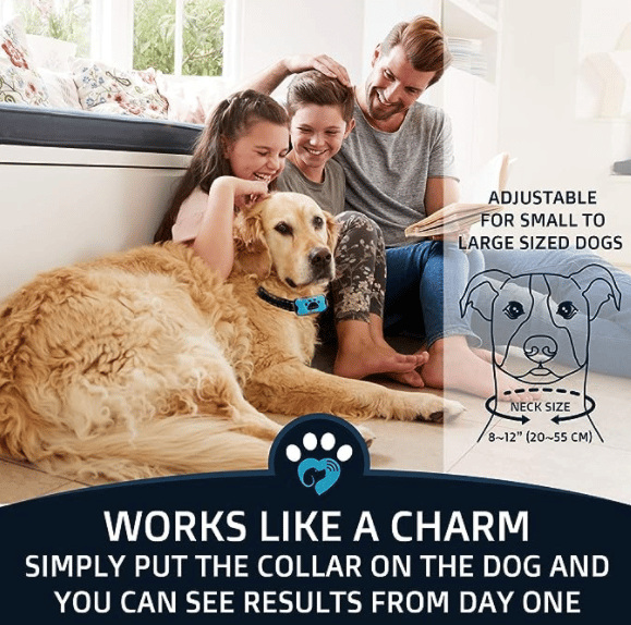 Maliben | Anti-Bark Collar