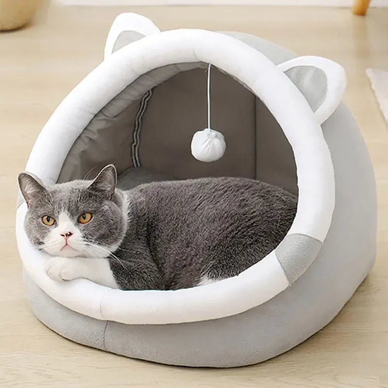 Maliben | Purroasis – The Cozy Refuge For Happy Cats