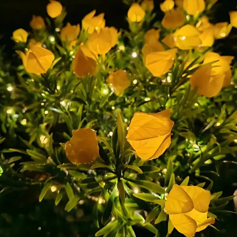 Maliben | Everbloom Solar Flower Lights