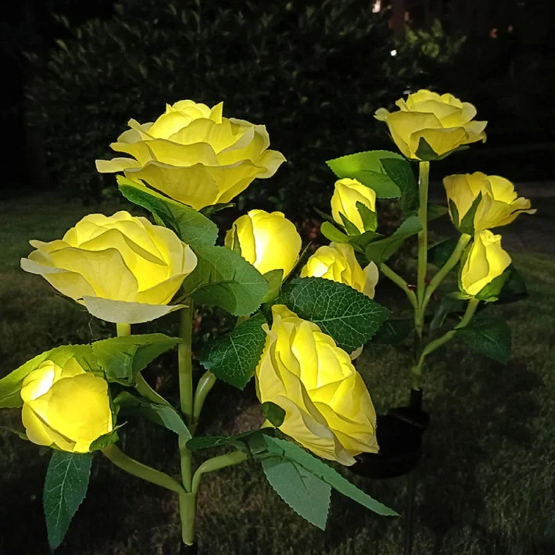 Maliben | Everbloom Solar Flower Lights
