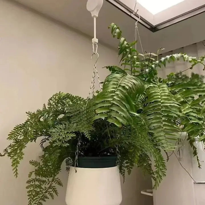 MAliben | Flexibloom — Get Effortless Plant Care And a Stylish Home Without Back Pain! (2 Pieces)