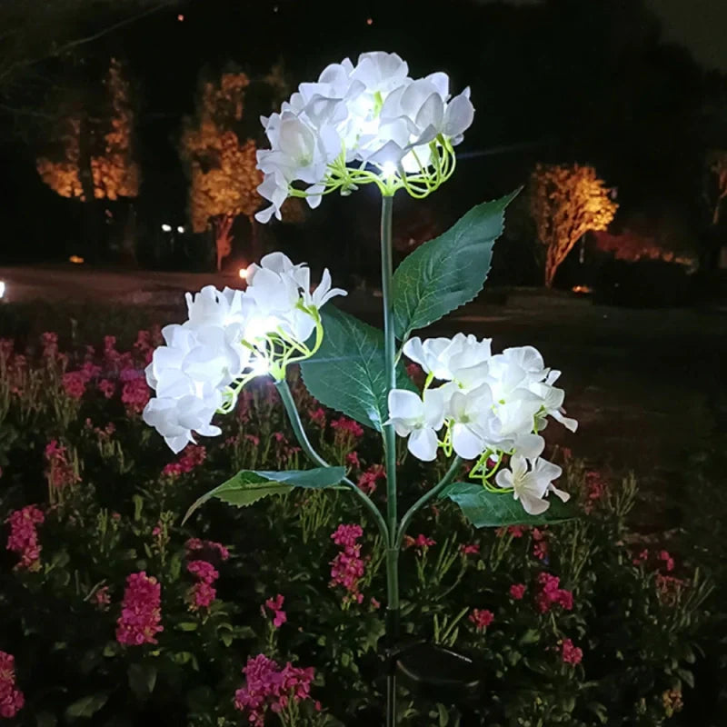 Maliben | Everbloom Solar Flower Lights