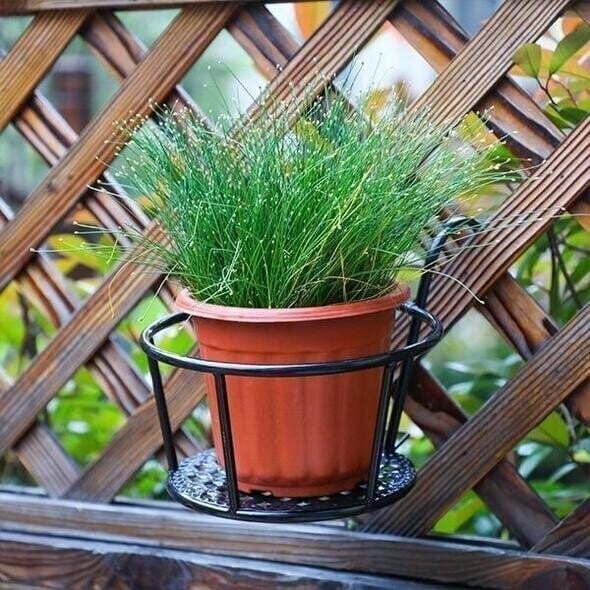 Maliben | Grünmeister — Showcase Your Green Paradise Stylishly Without Drilling Or Rust!