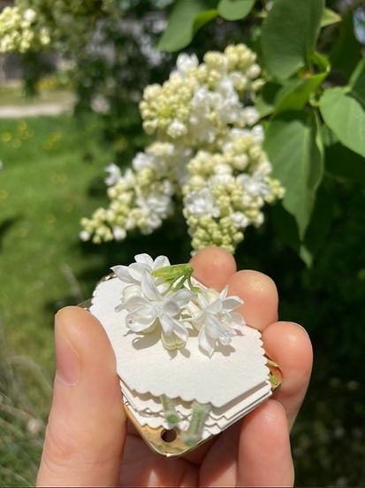 Maliben | Mini Flower Press | Compact Botanical Keepsake Maker | Portable Craft Tool