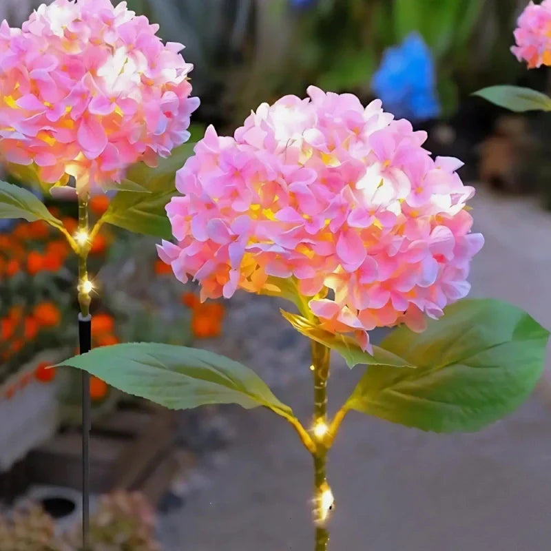 Maliben | Everbloom Solar Flower Lights