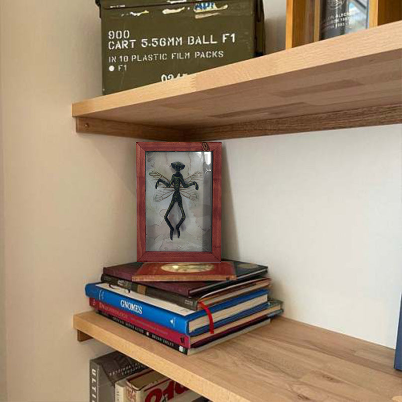 Maliben | Mysterious Mummified Fairy In Frame