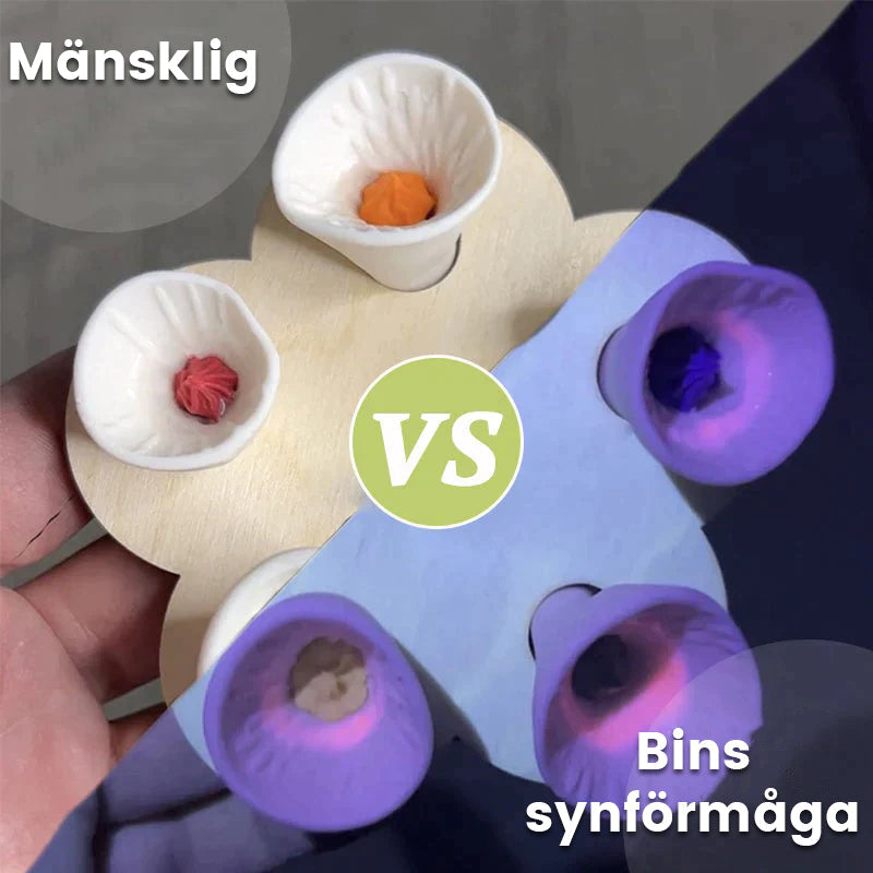 Maliben | Drinking cup for bees and insects