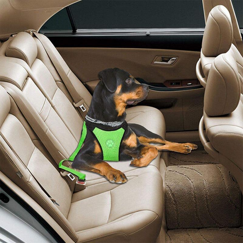 Maliben | Dog Safety Harness Set